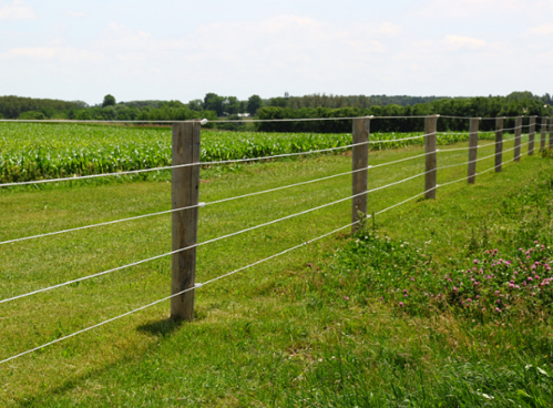 智能牧场电子围栏，瑞佳安畜牧专用围栏网