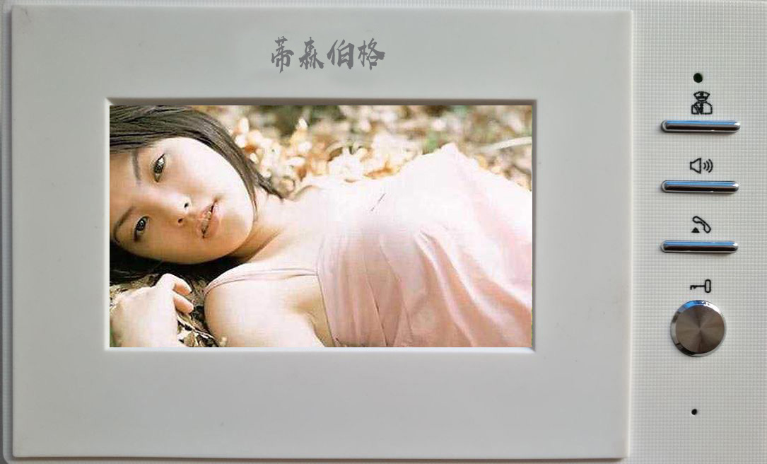 蒂森伯格数字楼宇对讲室内分机