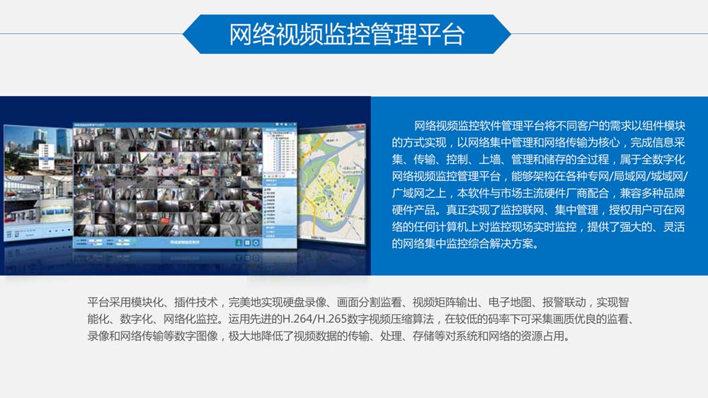 网络视频监控管理平台软件