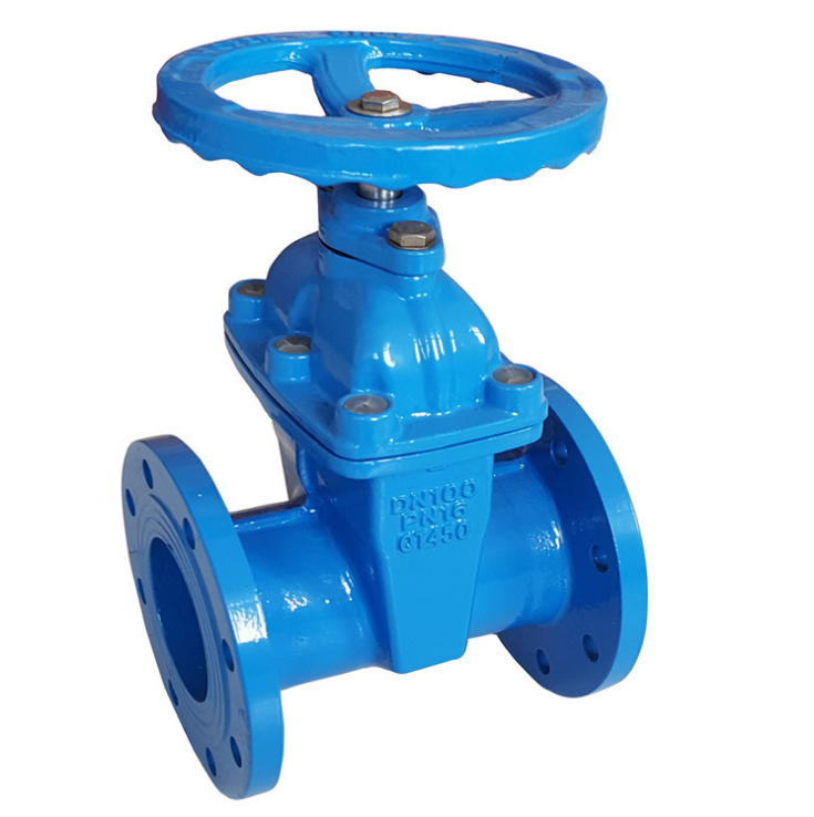 RVCX暗杆弹性座封闸阀