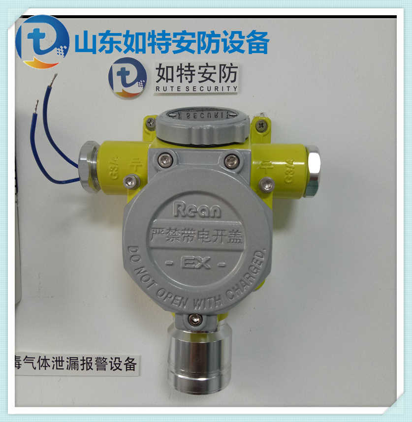 储罐区co泄漏及时报警器 有害气体一氧化碳探测器价格