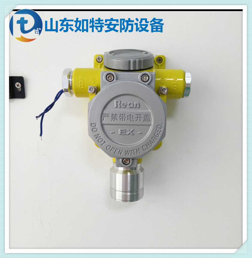 电化学式检测有害co气体浓度超标 一氧化碳泄露报警器