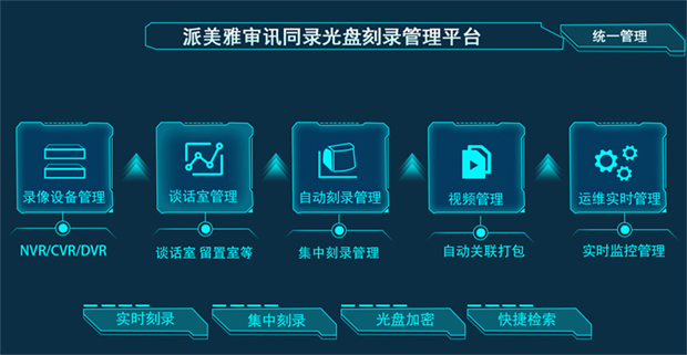 派美雅审讯同录光盘刻录管理平台