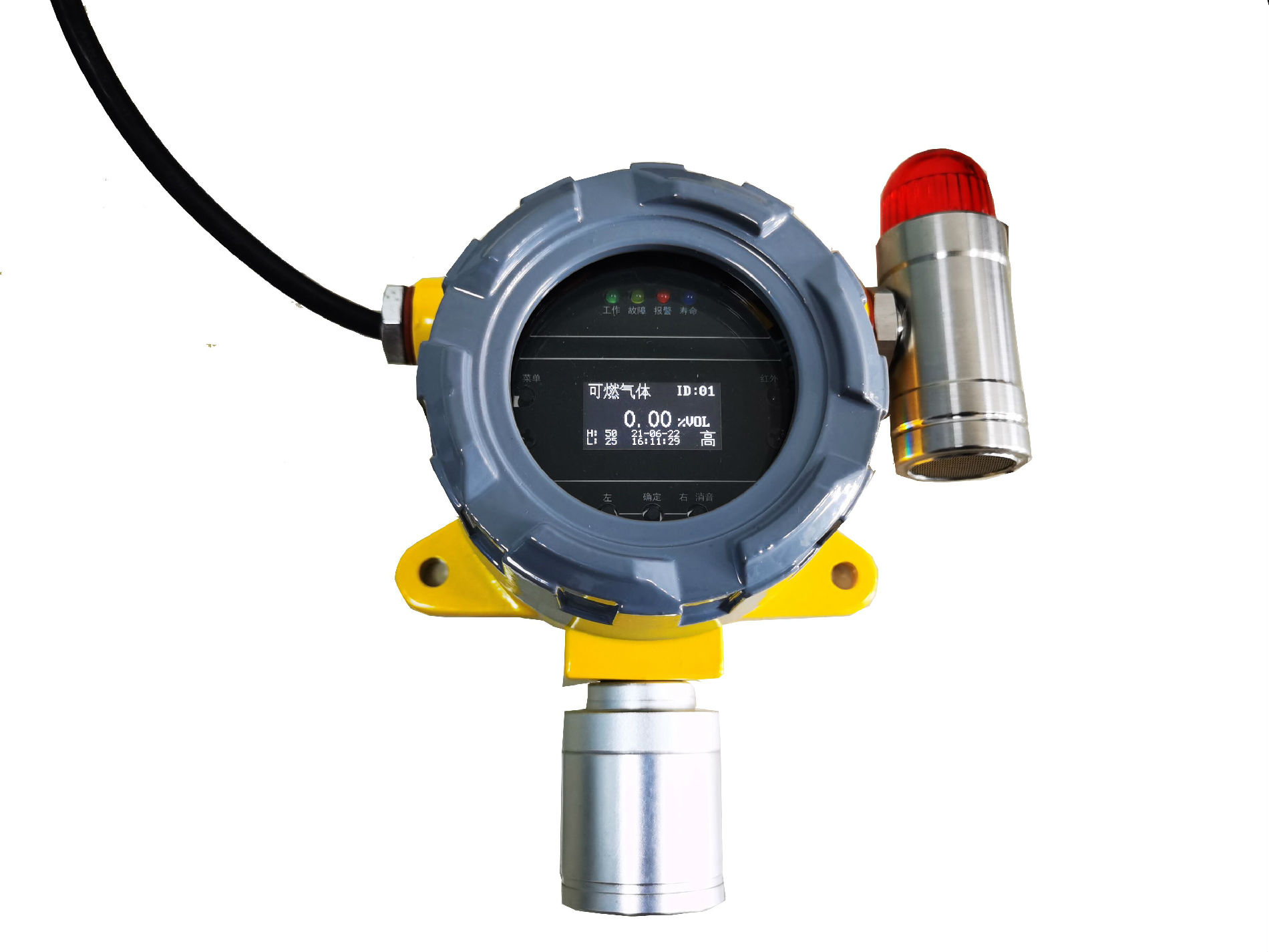 燃气公司用可燃气体泄漏检测仪