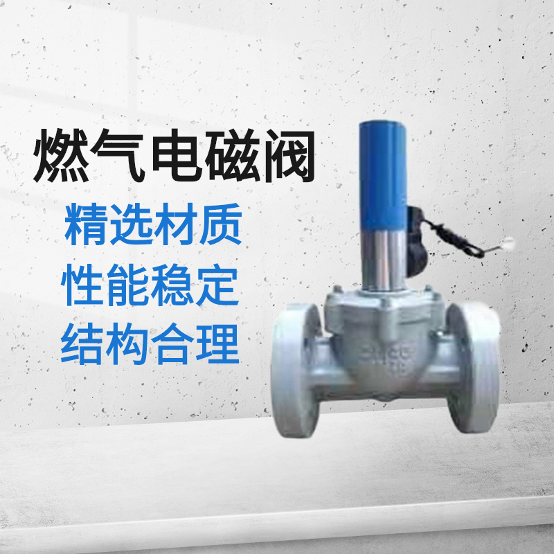 家用燃气管道自闭阀 天然气安全阀