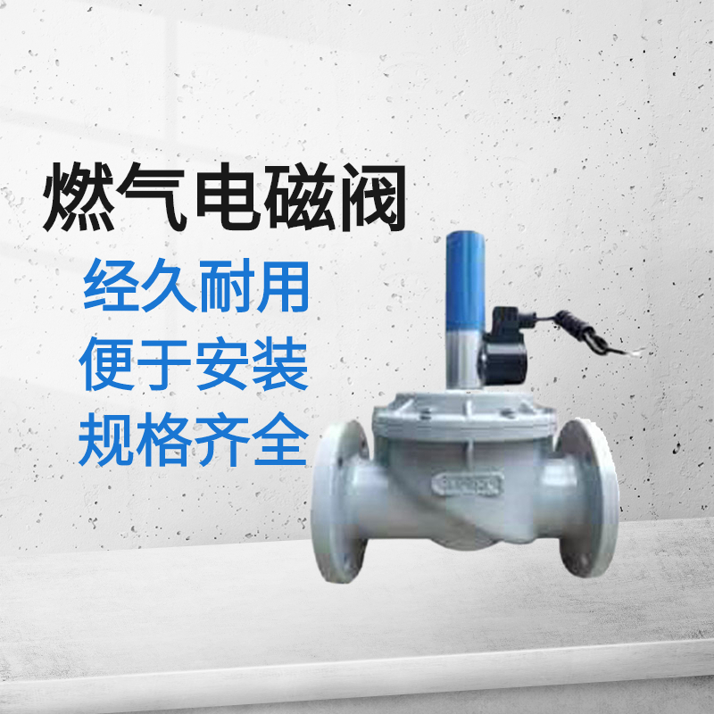 天然气紧急安全阀 电磁式切断阀