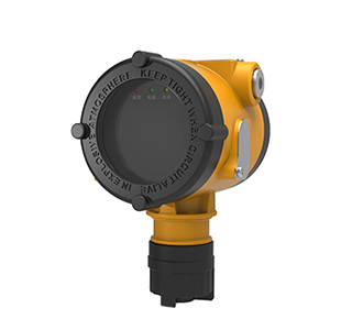 特安新款ES2000T气体探测器